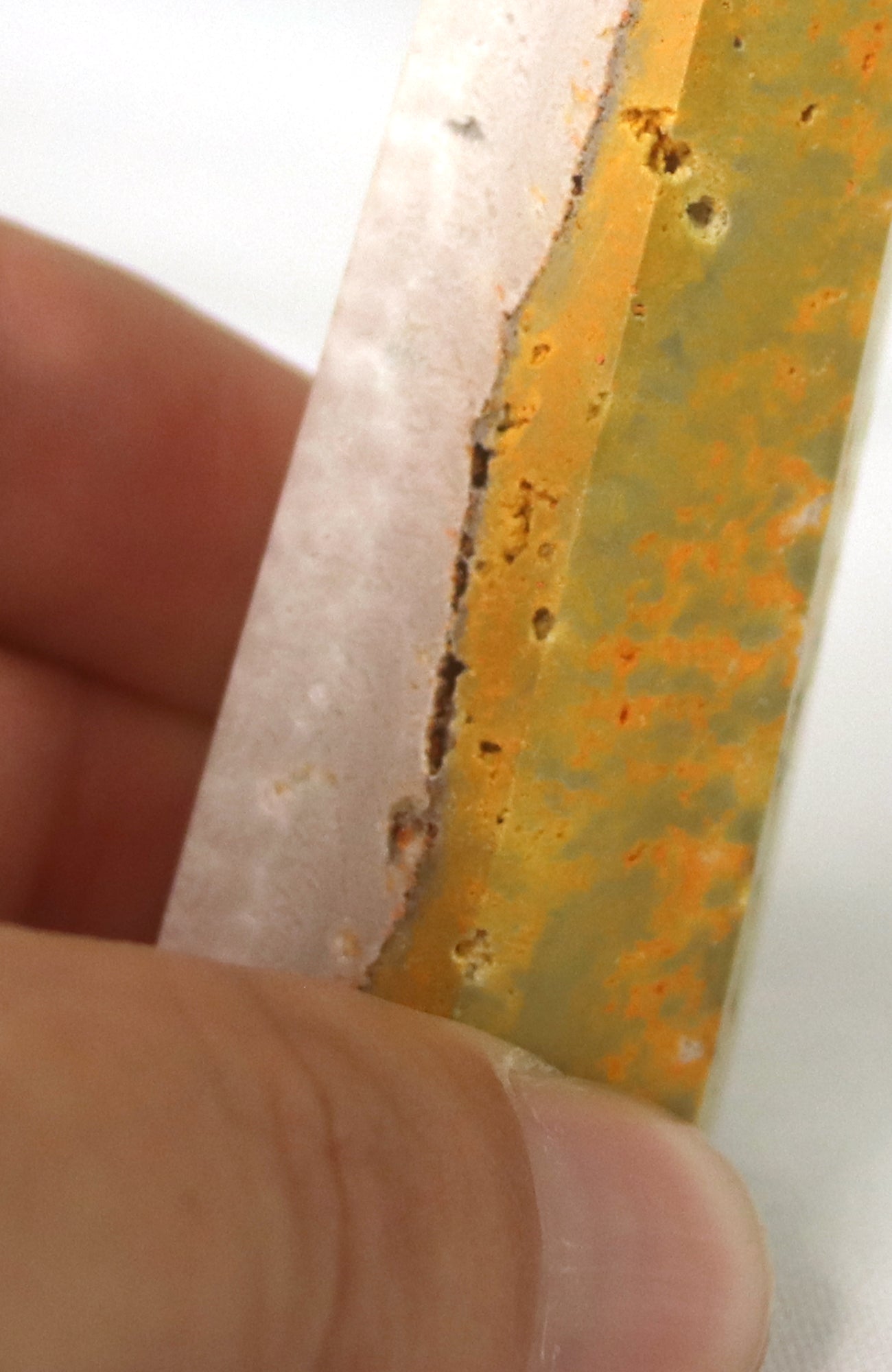 Bumble Bee Jasper Generator